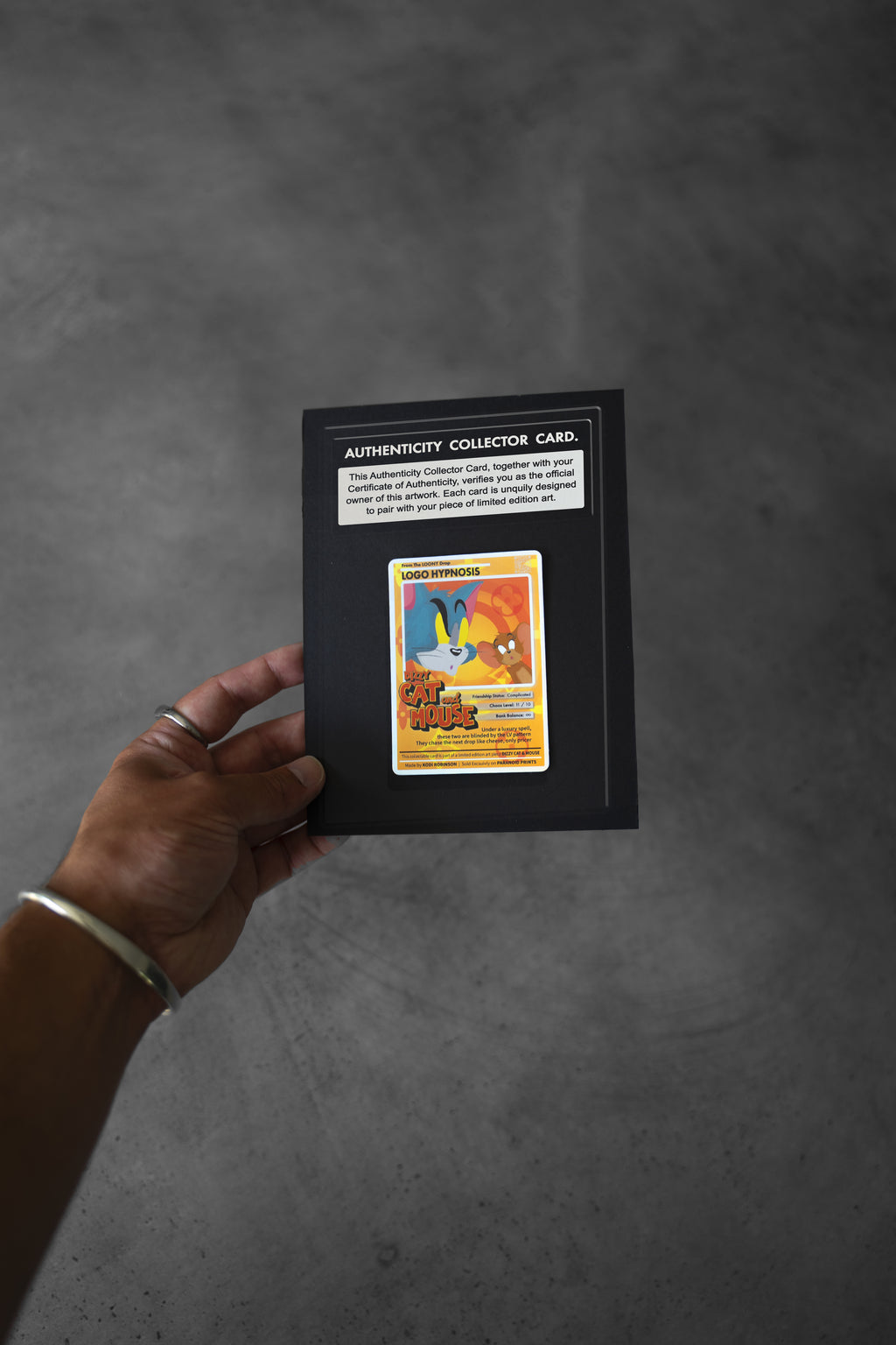 Dizzy Cat and Mouse, 2025